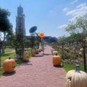 ヒメ日記 2025/11/08 10:37 投稿 さえ 千葉泡洗体デラックスエステ