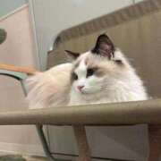 ヒメ日記 2026/02/13 23:27 投稿 さえ 千葉泡洗体デラックスエステ