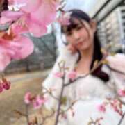 ヒメ日記 2026/02/14 14:46 投稿 さえ 千葉泡洗体デラックスエステ