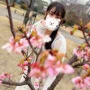 ヒメ日記 2026/02/19 16:45 投稿 さえ 千葉泡洗体デラックスエステ