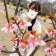 ヒメ日記 2026/02/19 16:57 投稿 さえ 千葉泡洗体デラックスエステ