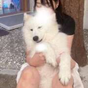 ヒメ日記 2026/03/02 16:00 投稿 さえ 千葉泡洗体デラックスエステ