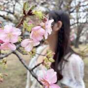 ヒメ日記 2026/03/05 16:26 投稿 さえ 千葉泡洗体デラックスエステ