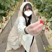 ヒメ日記 2026/04/24 16:48 投稿 さえ 千葉泡洗体デラックスエステ