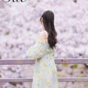 ヒメ日記 2026/04/28 00:38 投稿 さえ 千葉泡洗体デラックスエステ