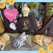 ヒメ日記 2025/08/03 09:42 投稿 近藤いくみ 五十路マダム　広島店