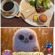 ヒメ日記 2025/10/08 10:28 投稿 近藤いくみ 五十路マダム　広島店