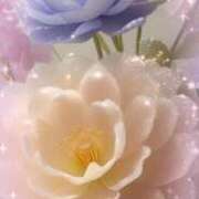 ヒメ日記 2025/10/11 08:54 投稿 近藤いくみ 五十路マダム　広島店