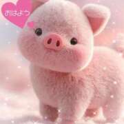 ヒメ日記 2025/10/19 10:40 投稿 近藤いくみ 五十路マダム　広島店