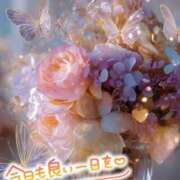 ヒメ日記 2025/11/01 09:30 投稿 近藤いくみ 五十路マダム　広島店