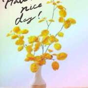 ヒメ日記 2025/11/04 09:38 投稿 近藤いくみ 五十路マダム　広島店