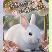 ヒメ日記 2025/11/06 07:52 投稿 近藤いくみ 五十路マダム　広島店