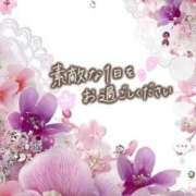 ヒメ日記 2025/11/09 08:16 投稿 近藤いくみ 五十路マダム　広島店