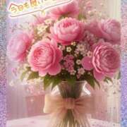 ヒメ日記 2025/11/11 09:08 投稿 近藤いくみ 五十路マダム　広島店