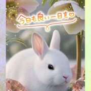 ヒメ日記 2025/11/16 09:38 投稿 近藤いくみ 五十路マダム　広島店