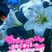 ヒメ日記 2025/11/20 02:26 投稿 近藤いくみ 五十路マダム　広島店