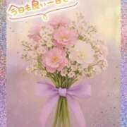 ヒメ日記 2025/11/26 10:46 投稿 近藤いくみ 五十路マダム　広島店