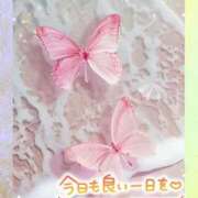 ヒメ日記 2025/11/28 09:48 投稿 近藤いくみ 五十路マダム　広島店