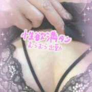 ヒメ日記 2025/12/03 19:04 投稿 近藤いくみ 五十路マダム　広島店