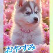 ヒメ日記 2025/12/19 02:46 投稿 近藤いくみ 五十路マダム　広島店