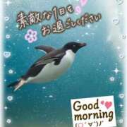 ヒメ日記 2026/01/14 08:52 投稿 近藤いくみ 五十路マダム　広島店