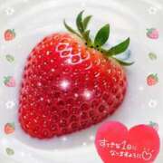 ヒメ日記 2026/01/19 08:00 投稿 近藤いくみ 五十路マダム　広島店