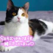 ヒメ日記 2025/07/13 11:06 投稿 今泉なのは 五十路マダム　広島店