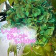 ヒメ日記 2025/11/20 09:58 投稿 今泉なのは 五十路マダム　広島店