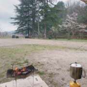 ヒメ日記 2025/04/11 10:38 投稿 佐野しのぶ 五十路マダム　広島店