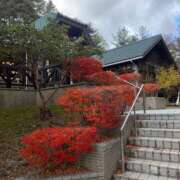 ヒメ日記 2025/11/20 14:54 投稿 佐野しのぶ 五十路マダム　広島店