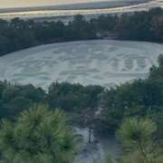 ヒメ日記 2026/02/20 01:14 投稿 佐野しのぶ 五十路マダム　広島店