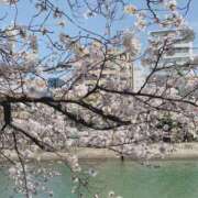 ヒメ日記 2026/04/10 00:18 投稿 佐野しのぶ 五十路マダム　広島店