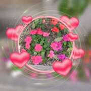 ヒメ日記 2025/03/14 17:38 投稿 野島紫乃 五十路マダム　広島店