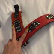 ヒメ日記 2026/01/13 17:19 投稿 白檀女王様 Ishtar(イシュタル)