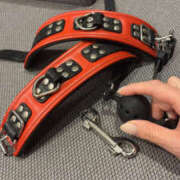 ヒメ日記 2026/03/20 18:40 投稿 白檀女王様 Ishtar(イシュタル)