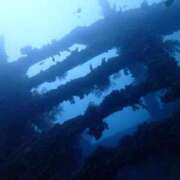 ヒメ日記 2024/12/09 07:32 投稿 葵あお ミスターダンディー