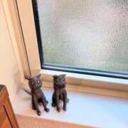 ヒメ日記 2024/12/18 09:42 投稿 葵あお ミスターダンディー