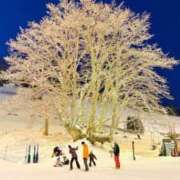 ヒメ日記 2025/01/08 20:14 投稿 葵あお ミスターダンディー