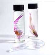 ヒメ日記 2025/01/28 21:02 投稿 葵あお ミスターダンディー