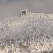 ヒメ日記 2025/02/16 17:07 投稿 葵あお ミスターダンディー