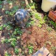 ヒメ日記 2025/03/13 15:07 投稿 葵あお ミスターダンディー