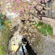 ヒメ日記 2025/03/14 21:35 投稿 葵あお ミスターダンディー