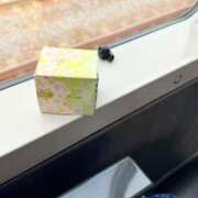 ヒメ日記 2025/04/02 13:20 投稿 葵あお ミスターダンディー