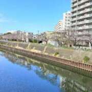 ヒメ日記 2025/04/04 10:49 投稿 葵あお ミスターダンディー