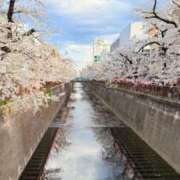 ヒメ日記 2025/04/05 03:26 投稿 葵あお ミスターダンディー