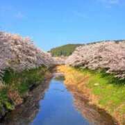 ヒメ日記 2025/04/12 10:32 投稿 葵あお ミスターダンディー