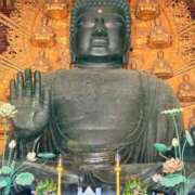 ヒメ日記 2025/04/12 18:45 投稿 葵あお ミスターダンディー