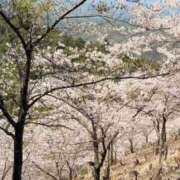 ヒメ日記 2025/04/14 13:22 投稿 葵あお ミスターダンディー