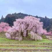 ヒメ日記 2025/04/14 22:56 投稿 葵あお ミスターダンディー