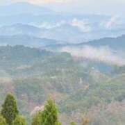 ヒメ日記 2025/04/15 00:29 投稿 葵あお ミスターダンディー